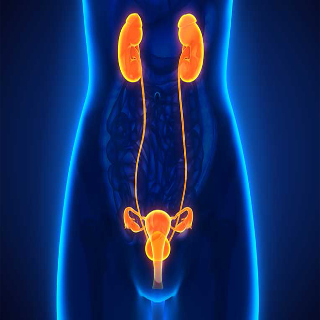 Urinary Tract Infection