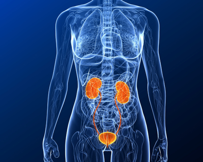 Renal Disorders